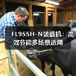 FL955H-N装载机：高效节能多场景适用（图3）