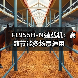 FL955H-N装载机：高效节能多场景适用（图1）