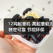 12吨起重机 高起重能力 稳定可靠 节能环保（图2）