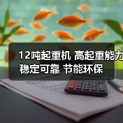 12吨起重机 高起重能力 稳定可靠 节能环保（图4）