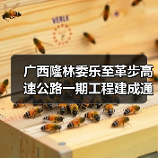 广西隆林委乐至革步高速公路一期工程建成通车(图2) 广西隆林委乐至革步高速公路一期工程建成通车(图2)