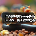 广西隆林委乐至革步高速公路一期工程建成通车(图4) 广西隆林委乐至革步高速公路一期工程建成通车(图4)