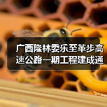 广西隆林委乐至革步高速公路一期工程建成通车(图1) 广西隆林委乐至革步高速公路一期工程建成通车(图1)