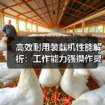 高效耐用装载机性能解析：工作能力强操作灵活