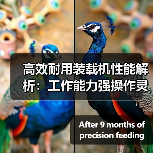 高效耐用装载机性能解析:工作能力强操作灵活(图3) 高效耐用装载机性能解析:工作能力强操作灵活(图3)