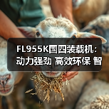 FL955K国四装载机:动力强劲 高效环保 智能操作(图2) FL955K国四装载机:动力强劲 高效环保 智能操作(图2)