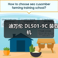 迪万伦 DL501-9C 装载机