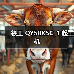 徐工 QY50K5C_1 起重机