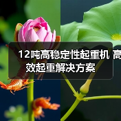 12吨高稳定性起重机 高效起重解决方案（图4）
