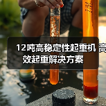 12吨高稳定性起重机 高效起重解决方案（图2）