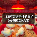 12吨高稳定性起重机 高效起重解决方案（图3）