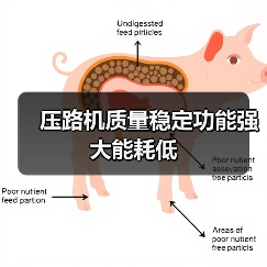 压路机质量稳定功能强大能耗低(图4) 压路机质量稳定功能强大能耗低(图4)