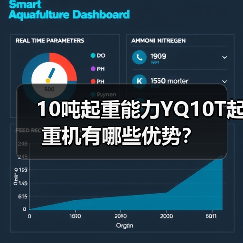 10吨起重能力YQ10T起重机有哪些优势?(图3) 10吨起重能力YQ10T起重机有哪些优势?(图3)