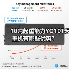 10吨起重能力YQ10T起重机有哪些优势?(图1) 10吨起重能力YQ10T起重机有哪些优势?(图1)