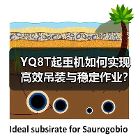 YQ8T起重机如何实现高效吊装与稳定作业?(图4) YQ8T起重机如何实现高效吊装与稳定作业?(图4)