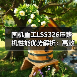 国机重工LSS326压路机性能优势解析:高效耐用操作便捷(图3) 国机重工LSS326压路机性能优势解析:高效耐用操作便捷(图3)