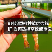 8吨起重机性能优势解析 为何选择高效起重设备?(图2) 8吨起重机性能优势解析 为何选择高效起重设备?(图2)