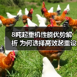 8吨起重机性能优势解析 为何选择高效起重设备?(图4) 8吨起重机性能优势解析 为何选择高效起重设备?(图4)