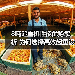 8吨起重机性能优势解析 为何选择高效起重设备？