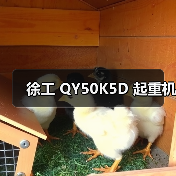 徐工 QY50K5D 起重机(图2) 徐工 QY50K5D 起重机(图2)