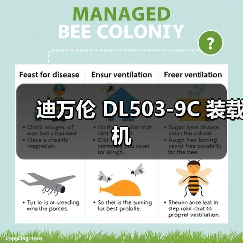 迪万伦 DL503-9C 装载机(图4) 迪万伦 DL503-9C 装载机(图4)