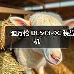 迪万伦 DL503-9C 装载机(图1) 迪万伦 DL503-9C 装载机(图1)