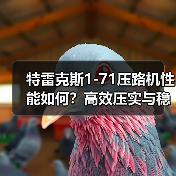 特雷克斯1-71压路机性能如何？高效压实与稳定性解析（图3）