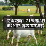 特雷克斯1-71压路机性能如何？高效压实与稳定性解析（图4）