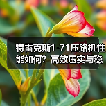 特雷克斯1-71压路机性能如何？高效压实与稳定性解析（图1）