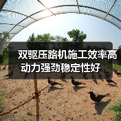 双驱压路机施工效率高 动力强劲稳定性好