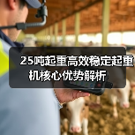 25吨起重高效稳定起重机核心优势解析