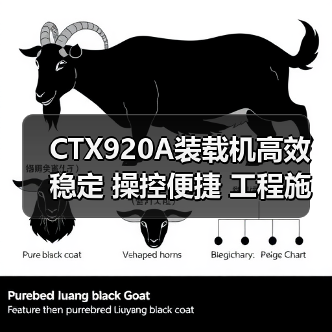 CTX920A装载机高效稳定 操控便捷 工程施工优选