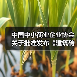 中国中小商业企业协会关于批准发布《建筑砖砌体工程施工质量验收技术规程》等17项团体标准的公告?（图1）