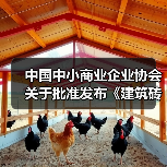 中国中小商业企业协会关于批准发布《建筑砖砌体工程施工质量验收技术规程》等17项团体标准的公告?（图2）