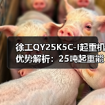 徐工QY25K5C-I起重机优势解析:25吨起重能力与灵活臂长(图3) 徐工QY25K5C-I起重机优势解析:25吨起重能力与灵活臂长(图3)