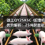 徐工QY25K5C-I起重机优势解析:25吨起重能力与灵活臂长(图4) 徐工QY25K5C-I起重机优势解析:25吨起重能力与灵活臂长(图4)