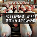 FD813压路机：动力强劲压实作业的优选选择