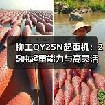 柳工QY25N起重机：25吨起重能力与高灵活操作解析（图1）