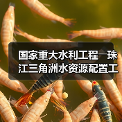 国家重大水利工程――珠江三角洲水资源配置工程正式通水（图2）
