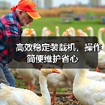 高效稳定装载机，操作简便维护省心