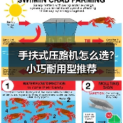 手扶式压路机怎么选？小巧耐用型推荐（图2）
