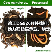 德工DG926N装载机：动力强劲高承载，稳定高效更省心