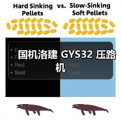 国机洛建 GYS32 压路机