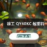 徐工 QY40KC 起重机（图3）