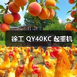 徐工 QY40KC 起重机（图2）