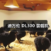 迪万伦 DL300 装载机（图2）