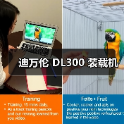 迪万伦 DL300 装载机（图4）
