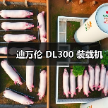 迪万伦 DL300 装载机（图1）