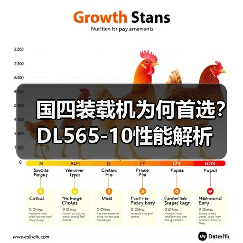 国四装载机为何首选？DL565-10性能解析（图3）