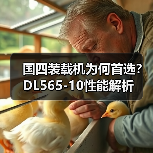 国四装载机为何首选？DL565-10性能解析（图1）